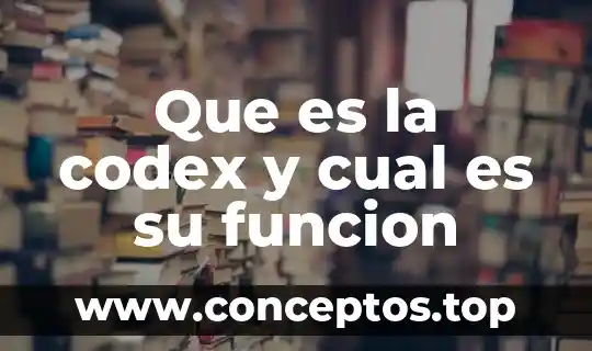 Que es la codex y cual es su funcion