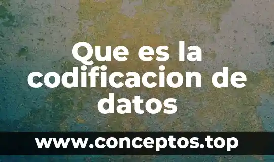 Que es la codificacion de datos