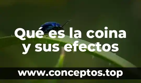 Qué es la coina y sus efectos