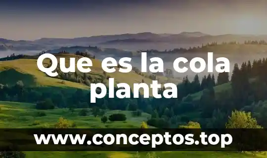 Que es la cola planta