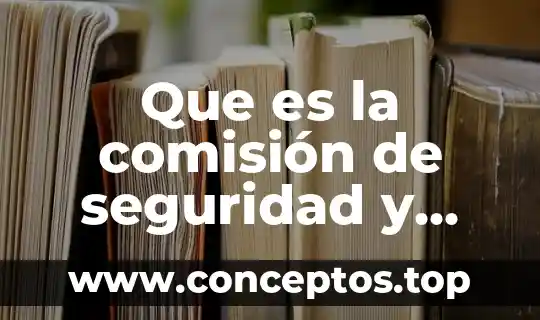Que es la comisión de seguridad y emergencia en primaria