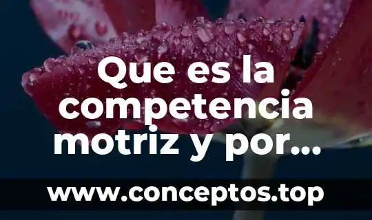 Que es la competencia motriz y por que es importante