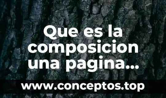 Que es lo que hace que una pagina sea dinamica 4 Que es la composicion una pagina web