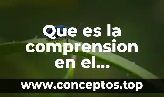 Que es ell movimiento ondulatorio 3 Que es la comprension en el movimientos ondulatorio