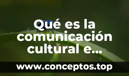 Qué es la comunicación cultural e intercultural