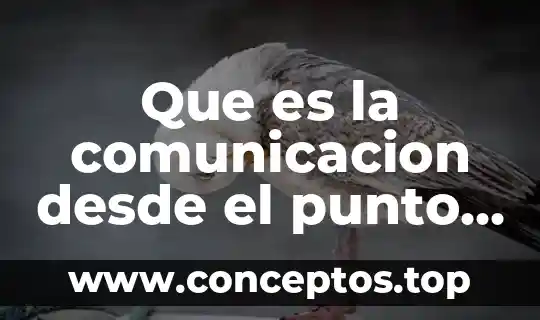 Que es la comunicacion desde el punto de vista informatico