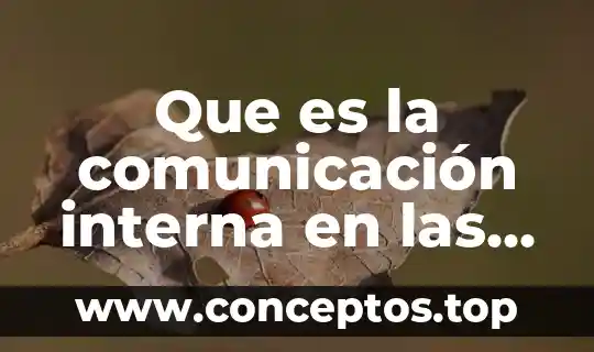 Que es la comunicación interna en las organizaciones