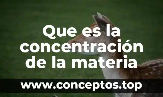 Que es el principio de provida en materia de amparo 5 Que es la concentración de la materia