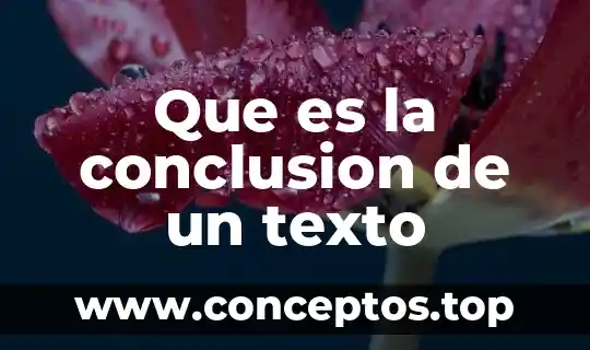 Que es la conclusion de un texto