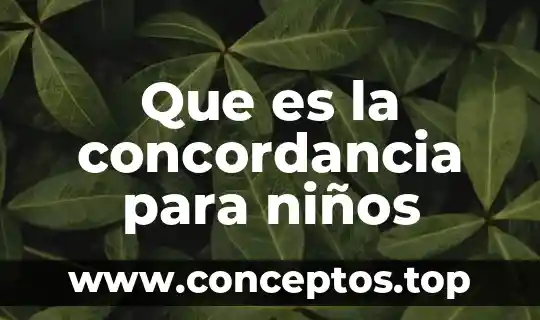 Que es la concordancia para niños
