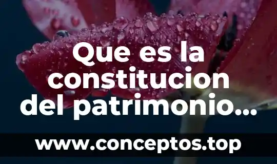 Que es la constitucion del patrimonio familiar