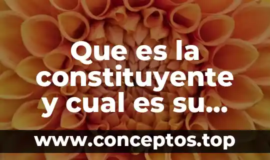 Que es la constituyente y cual es su significado