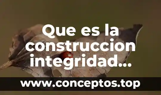 Que es la construccion integridad corporal