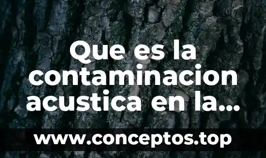 Que es la contaminacion acustica en la musical