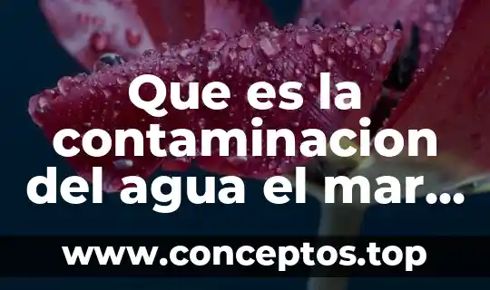 Que es la degradación por la contaminación del agua 5 Que es la contaminacion del agua el mar animales