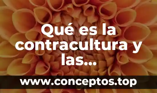 Qué es la contracultura y las manifestación cultural