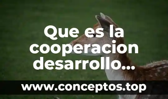 Que es la cooperacion desarrollo humano