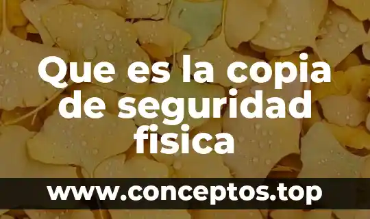 Qué es y para qué sirve una copia de seguridad 7 Que es la copia de seguridad fisica