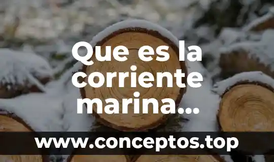 Que es la corriente marina concepto