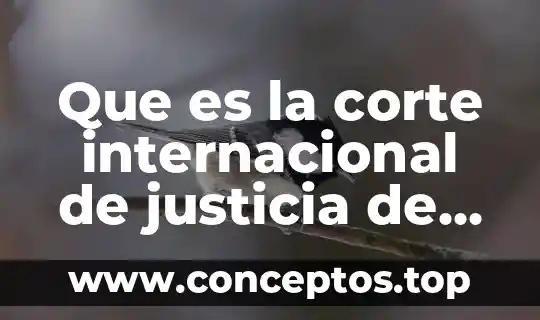 Que es la corte internacional de justicia de la onu