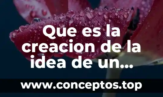 Que es el atributo del producto 3 Que es la creacion de la idea de un producto