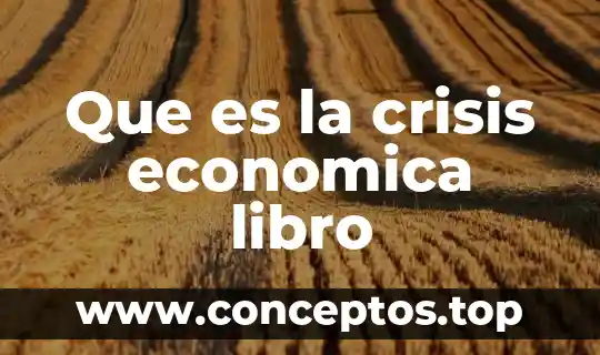 Que es la crisis economica libro