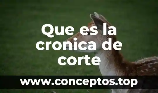 Que es la corte internacional de justicia de la onu 3 Que es la cronica de corte