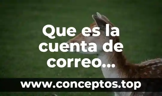 Servidor de correo electrónico entrante que es que significa 8 Que es la cuenta de correo exchange