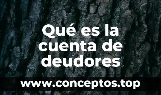 Qué es la cuenta de deudores