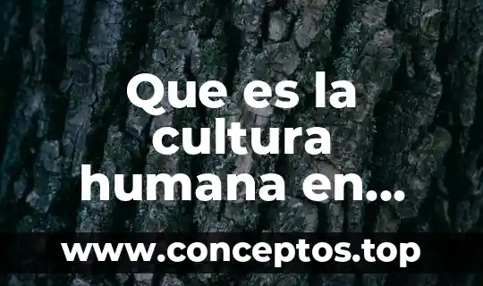 Que es sentimiento en artes visuales en una figura 5 Que es la cultura humana en artes visuales