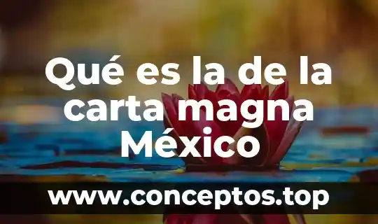 Qué es la de la carta magna México
