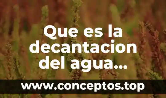 Que es la decantacion del agua potable