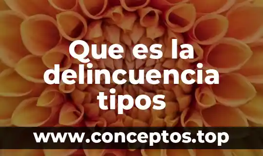Que es la delincuencia tipos