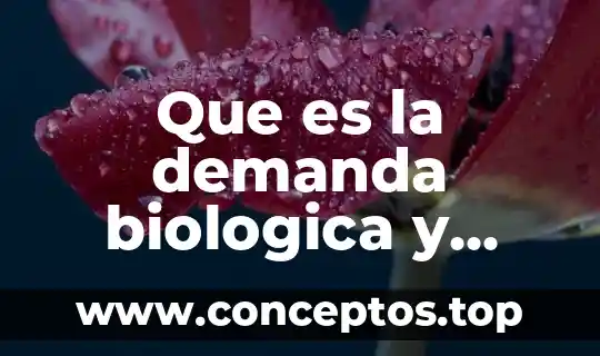 Que es la demanda biologica y quimica