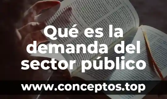 Qué es la demanda del sector público