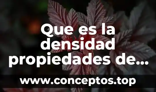 Que es el principio de provida en materia de amparo 3 Que es la densidad propiedades de la materia