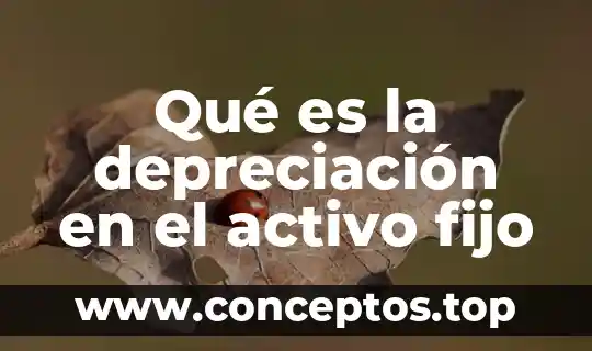 Animal exótico que es preparado en tamales en guerrero 4 Qué es la depreciación en el activo fijo