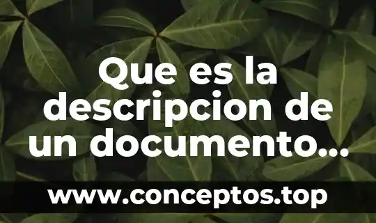 Que es el número de documento de identidad 4 Que es la descripcion de un documento para normas apa
