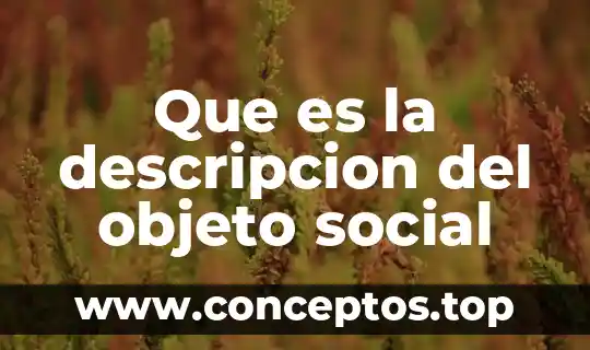 Que es el color a nivel social 8 Que es la descripcion del objeto social