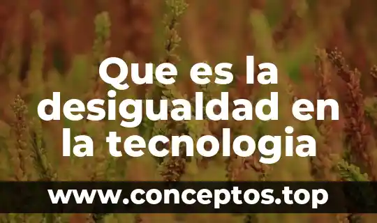 Que es la desigualdad en la tecnologia