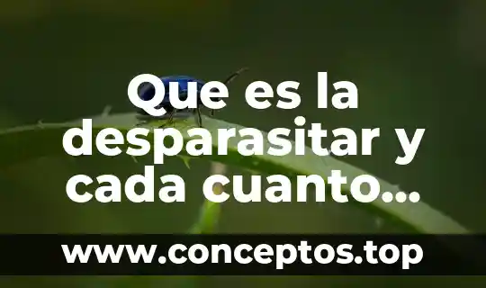 Que es la desparasitar y cada cuanto persona