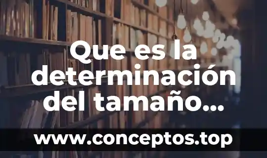 Que es la determinación del tamaño optimo de la planta