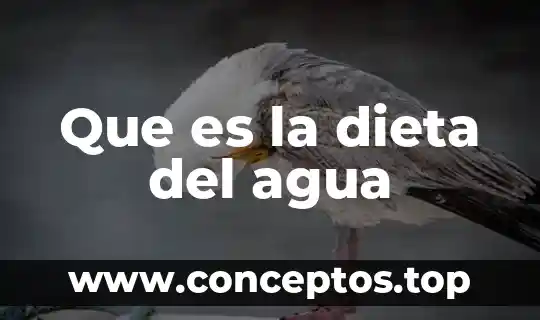 Que es la dieta del agua