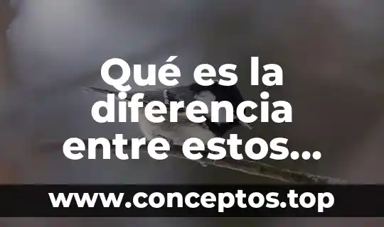 Qué es la diferencia entre estos tipos de ecuaciones