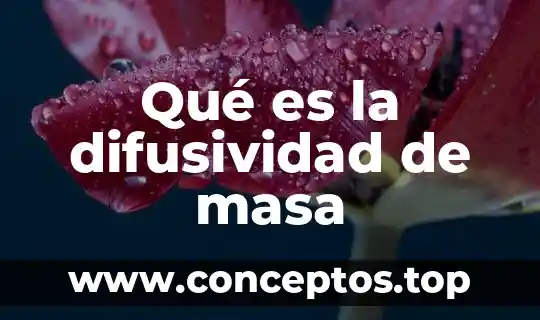 Qué es la difusividad de masa