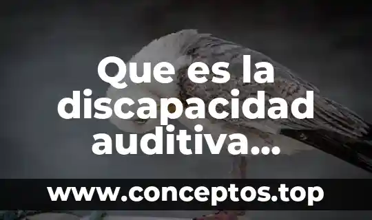 Que es discapacidad significado de libros 6 Que es la discapacidad auditiva articulos