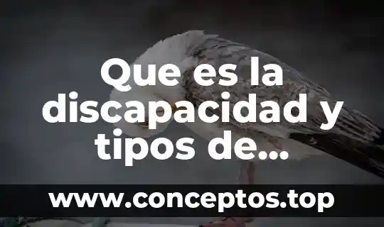 Que es la discapacidad y tipos de discapacidad ppt