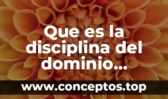 Que es un sistema de nombre de dominio 5 Que es la disciplina del dominio personal