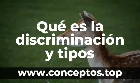 Que es la discriminacion por su posicion social 7 Qué es la discriminación y tipos