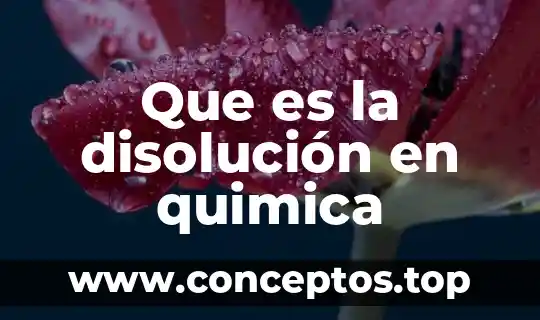 Que es la disolución en quimica